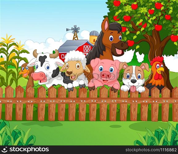Collection farm animals