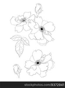 Collection flowers. Hand drawn. Vector illustration. Isolated linear plants and leaves for design, decor and decoration