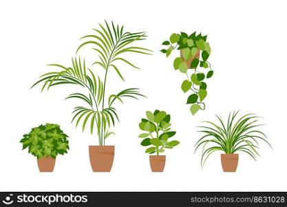 Collection home plants. Potted plants isolated on white. Vector set green plants. Trendy home decor with indoor plants, planters, tropical leaves. Flat.