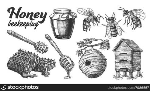 Collection Honey Beekeeping Apiary Set Vector. Glass Bottle And Slice Honeycomb, Wooden Hive And Wild On Branch Beehive House, Honey Dipping Stick And Bee. Monochrome Designed Cartoon Illustration. Collection Honey Beekeeping Apiary Set Vector