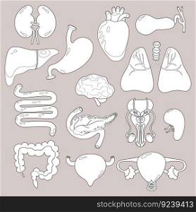 Collection Human internal organs. vector illustration. Anatomy concept. Isolated graphic Outline drawings for design, decor, colorize