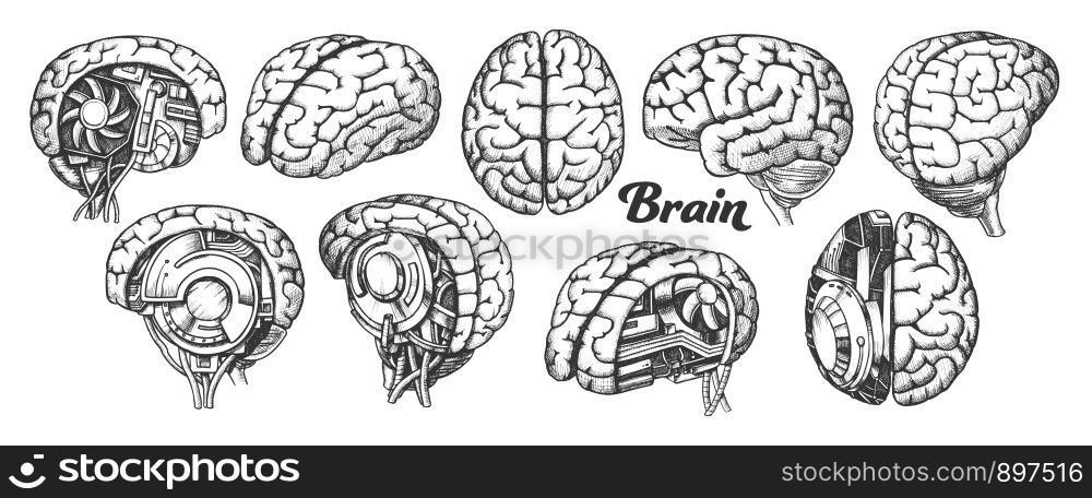Collection In Different Views Brain Set Vector. Many Kinds And Modification Of Cyber And Human Brain. Anatomy Medical Neurology Element Hand Drawn In Vintage Style Monochrome Illustrations. Collection In Different Views Brain Set Vector