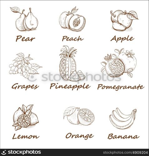 Collection, monochrome hand-drawn set of fruit.