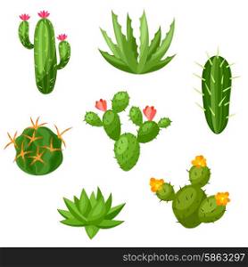 Collection of abstract cactuses and plants. Natural illustration. Collection of abstract cactuses and plants. Natural illustration.