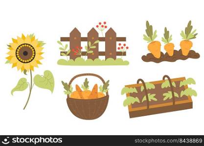 Collection of agriculture, farming. Garden bed, greenhouse with plants, carrots in ground, wicker basket with vegetables, sunflower and wooden fence with berries and grass. Vector illustration