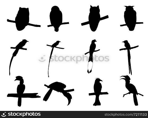 Collection of Asian Paradise Flycatcher, Hornbill, Drongo, Owl Bird on tree branch Silhouettes. Vector illustration isolated on white