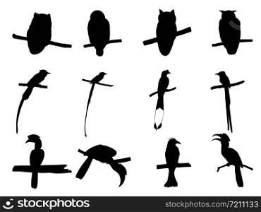 Collection of Asian Paradise Flycatcher, Hornbill, Drongo, Owl Bird on tree branch Silhouettes. Vector illustration isolated on white