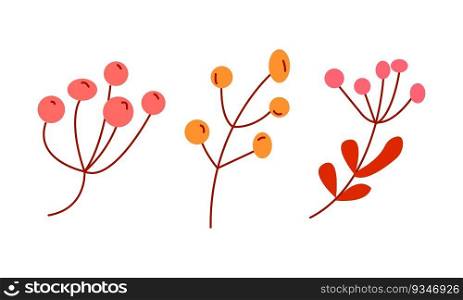 Collection of autumn berries. Vector flat illustration. Collection of autumn berries
