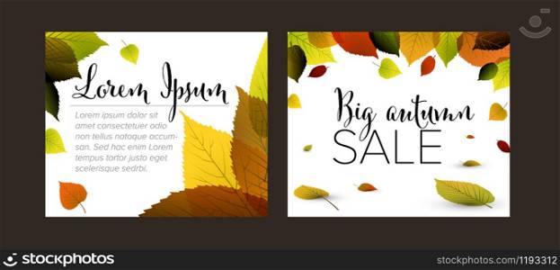 Collection of autumn Inline Medium Rectangle banner templates with fall colored leafs. Collection of autumn Inline Medium Rectangle banner templates