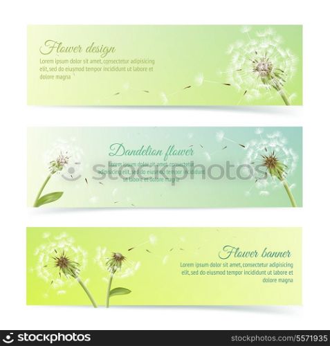 Collection of banners and ribbons with summer dandelion and pollens design elements isolated vector illustration