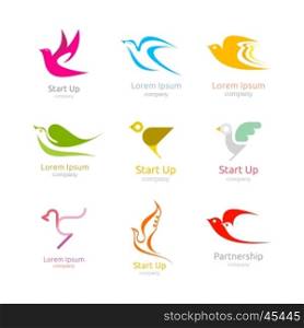 Collection of bird logos. Design elements isolated on a white background.