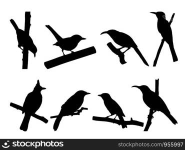 Collection of Bird on tree branch Silhouettes. Vector illustration isolated on white