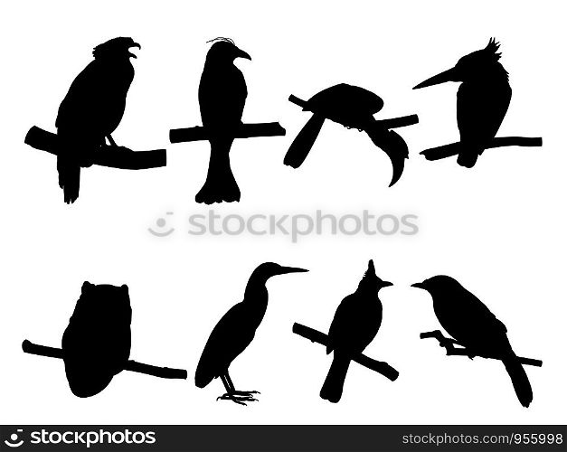 Collection of Bird on tree branch Silhouettes. Vector illustration isolated on white