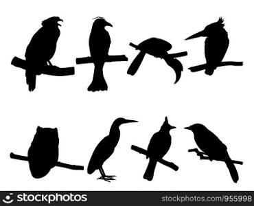 Collection of Bird on tree branch Silhouettes. Vector illustration isolated on white