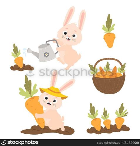 Collection of cartoon rabbits with carrots. Cute bunny is watering carrots from watering can in garden bed, harvesting and wicker basket of carrots. Vector illustration for postcards, design and decor
