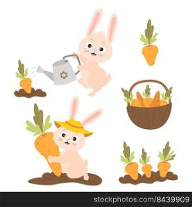 Collection of cartoon rabbits with carrots. Cute bunny is watering carrots from watering can in garden bed, harvesting and wicker basket of carrots. Vector illustration for postcards, design and decor