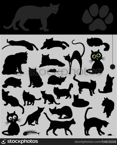 Collection of cats. Black silhouettes of house cats. A vector illustration