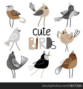 Collection of charming birds