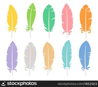 Collection of colored bird feathers