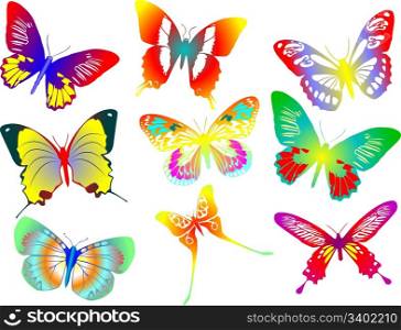 Collection of colored butterflies. Vector illustration
