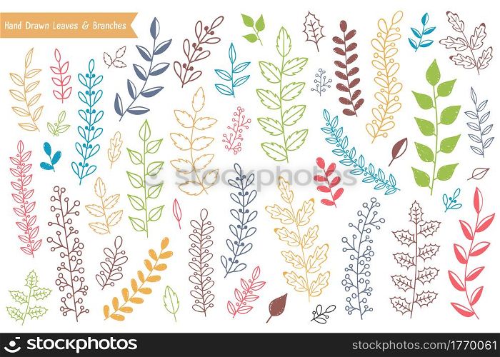 Collection of colored hand drawn leaves and branches on white background, vector eps10 illustration. Hand Drawn Leaves and Branches