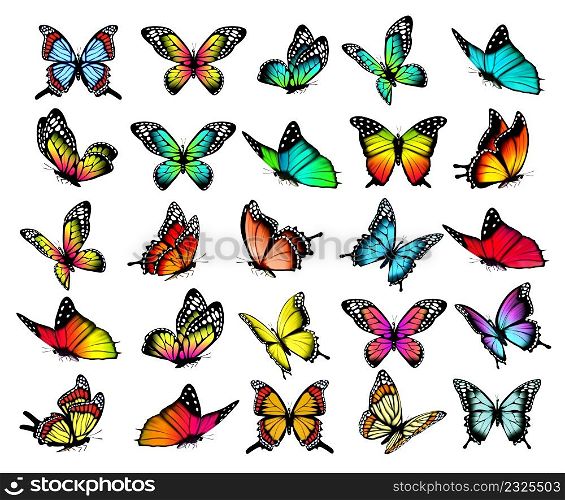 Collection of colorful butterflies, flying in different directions. Butterfle silhouette. Vector.