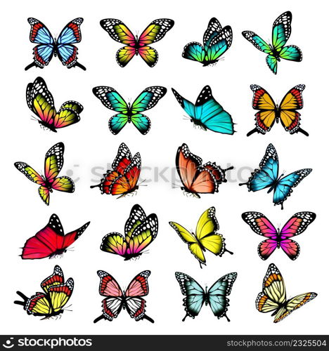 Collection of colorful butterflies, flying in different directions. Butterfle silhouette. Vector.