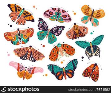 Collection of colorful hand drawn butterflies and moths on white background. Stylized flying insects with decorative elements, vector illustration. 