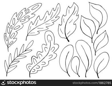 Collection of decorative green leaves. Monochrome elements for your design. Leaves of trees, flowers. Set of illustrations in hand draw style. Floral illustration in hand draw style