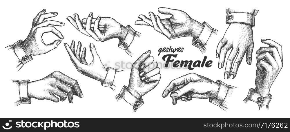 Collection of Different Gesture Set Vintage Vector. Female Woman Hand Gesture Looks Like Holding Cup Coffee Or Bag, Cigarette Or Violin, Balloon Or Umbrella. Monochrome Illustration. Collection of Different Gesture Set Vintage Vector
