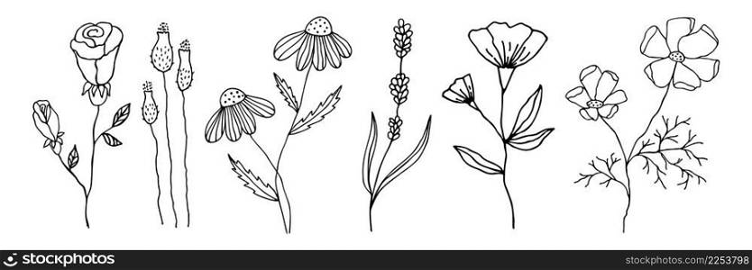 Collection of doodle flowers in a linear style. Set of floral elements for any design. Vector black outline flowers hand drawn isolated on white background.. Collection of doodle flowers in a linear style. 