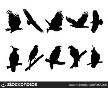 Collection of Eagle, Hawk Bird on tree branch Silhouettes. Vector illustration isolated on white