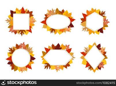 Collection of exotic colorful autumn leaves frame vector set on white background - Vector illustration