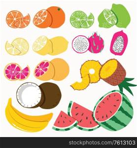 Collection of exotic tropical fruit, isolated on white background. Colorful flat vector illustration