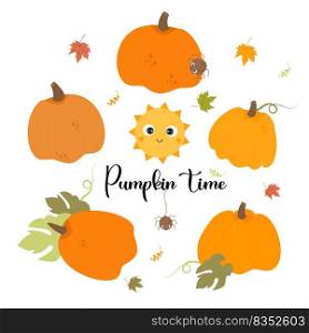 Collection of fall orange pumpkins, cute sun, spider insects and autumn leaves. Vector illustration with autumn harvest Pumpkin time. Isolated vegetables for print, design, postcards, decor, booklets 