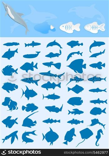 Collection of fishes. Silhouettes of sea and lake fishes. A vector illustration