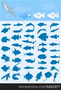 Collection of fishes. Silhouettes of sea and lake fishes. A vector illustration