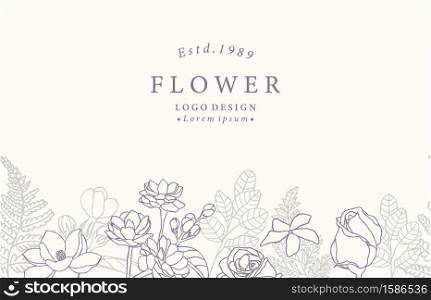 Collection of flower background set with jasmine,rose.Editable vector illustration for website, invitation,postcard and sticker