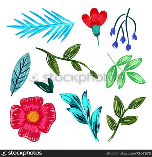 Collection of flowers and green leaves, beautiful floral patterns, icons of herbs, plants and branches on vector illustration isolated on white. Collection of Flowers, Leaves Vector Illustration