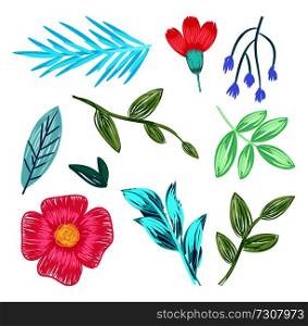 Collection of flowers and green leaves, beautiful floral patterns, icons of herbs, plants and branches on vector illustration isolated on white. Collection of Flowers, Leaves Vector Illustration