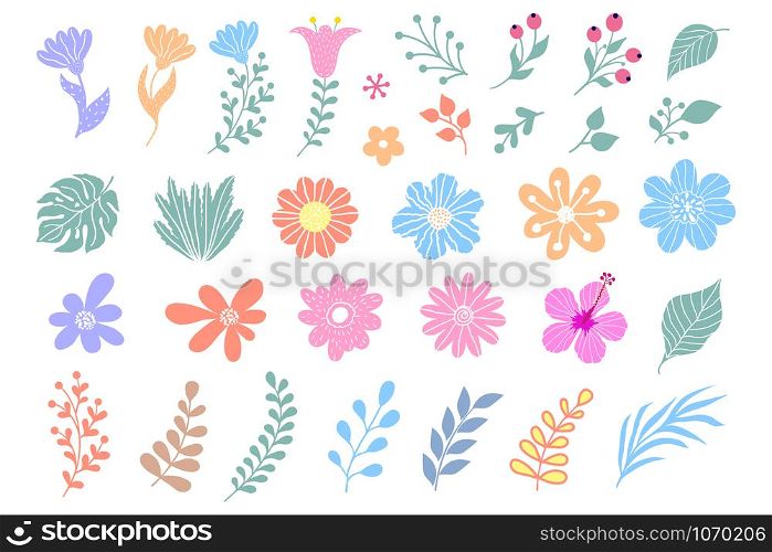 Collection of flowers, leaves and plants on white background. Elements for design.
