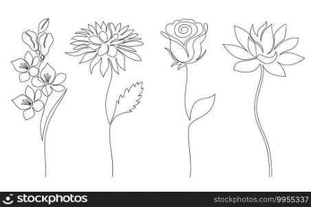 Collection of flowers on white background. One line drawing style.. Collection of flowers