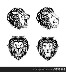 Collection Of Four Engravings With Lion Head. Collection of four engravings with lion head in different angles in hand drawn ink style isolated on white background vector illustration
