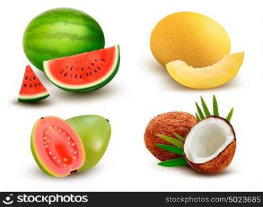 Collection of fruit and berries. Watermelon, honeydew, guava, coconut. Vector Set.