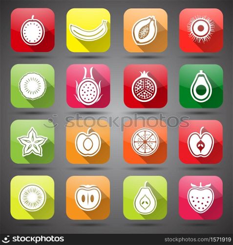 Collection of Fruits set hand drawn vector,illustration