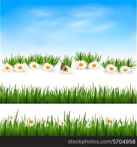 Collection of green grass backgrounds. Vector illustration.
