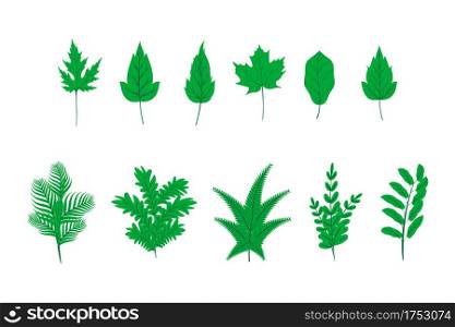 Collection of green plant leaves in flat style