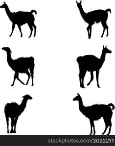 Collection of guanaco&rsquo; silhouettes. Vector image of a Collection of guanaco&rsquo; silhouettes