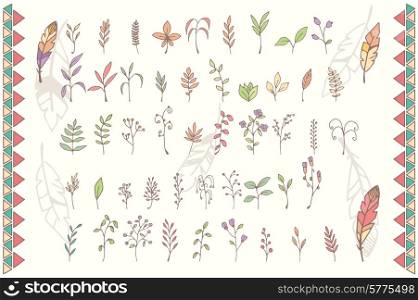 Collection of hand drawn flowers with feathers, vector illustration