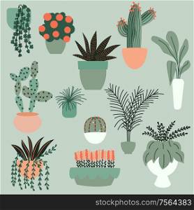 Collection of hand drawn indoor house plants. Collection of potted plants. Colorful flat vector illustration